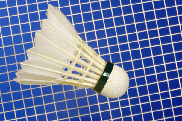 Badmintonové rakety a opeřené - Fotografie, Obrázek