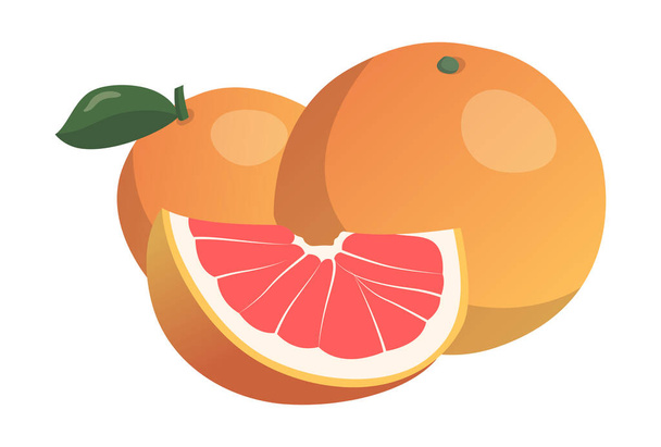 Realistic fresh ripe grapefruit isolated on white background - Vector illustration - Vector, Image