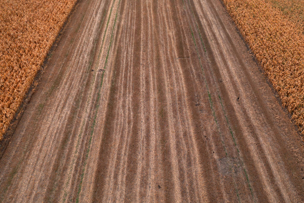収穫後の麦畑、ドローンのpov高角度ビュー - 写真・画像
