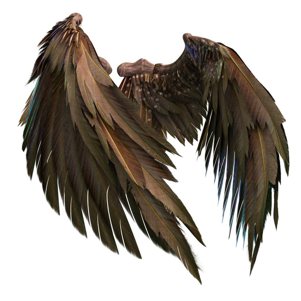 Coppia di ali d'angelo isolate con piume 3D su sfondo bianco, Illustrazione 3D, Rendering 3D - Foto, immagini