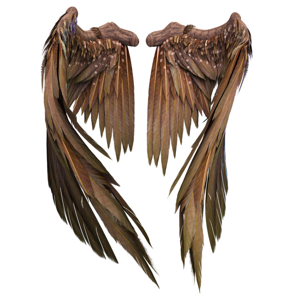 Pair of isolated angel wings with 3D feathers on white background, 3D Illustration, 3D Rendering - Photo, Image