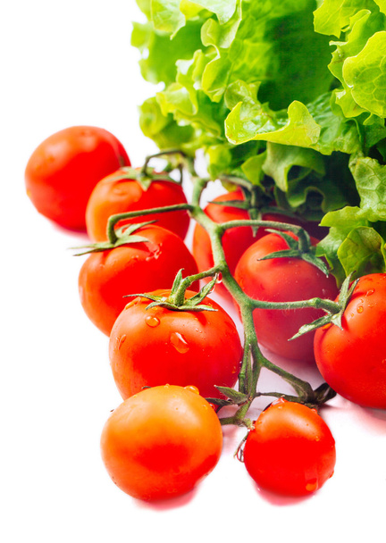 Lettuce Salad And Tomatoes Isolated On White - Fotoğraf, Görsel