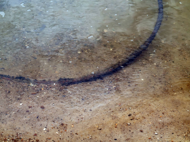 ένα σιδερένιο καλώδιο βρίσκεται στο ποτάμι, το καλοκαίρι - Φωτογραφία, εικόνα