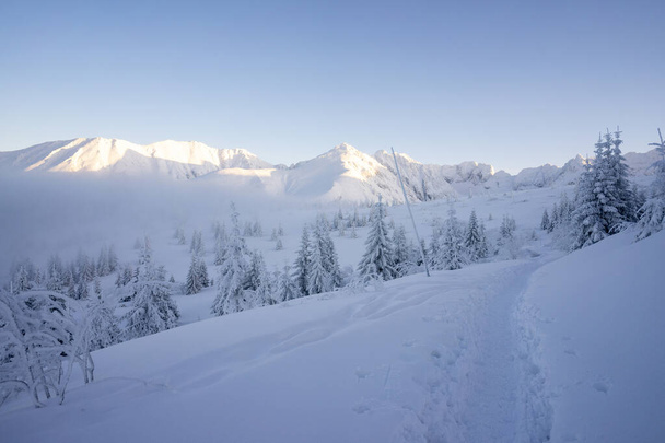 Verschneite winterliche Berglandschaft in der Tatra. - Foto, Bild