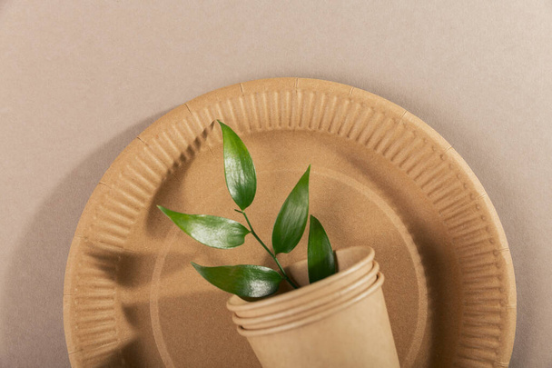 Catering and street fast food paper cups, plates and green leaves. Accessories for eating outdoors. Ecology, recycling concept. - Photo, image