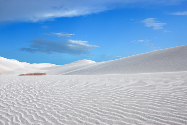 White dune - Фото, зображення