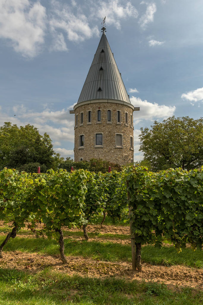 Rozhledna na vinicích Florsheim-Wicker - Fotografie, Obrázek