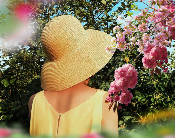 vrouwen in gele jurk en stro zomerhoed en roze bloemen bloesem tak en groene bush natuur landschap vakantie vrije tijd - Foto, afbeelding