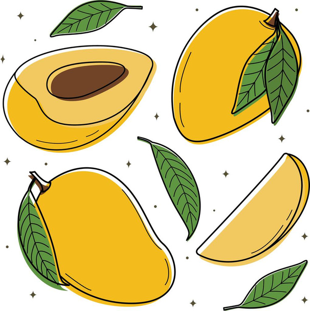 Vector illustration of a sweet mango set.  - Vektor, obrázek