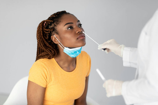 Nuori musta nainen saa nenäkoronaviruksen pyyhkäisynäytteen harmaalla studiotaustalla. Terveydenhuolto, lääketiede, uusi normaali - Valokuva, kuva