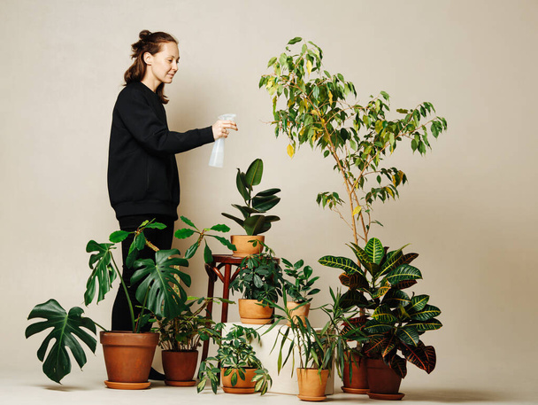 Happy woman watering potted plants in brown ceramic pots over beige background. Low angle. Using spray bottle. - Foto, afbeelding