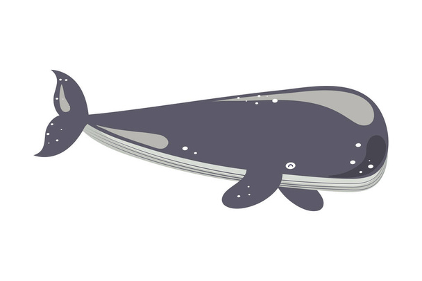 ballena vida marina - Vector, imagen