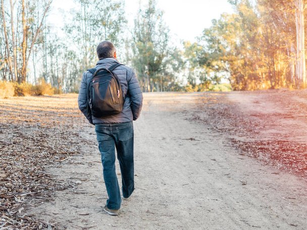 Вид ззаду чоловіка з рюкзаком пішохідний в лісі
 - Фото, зображення