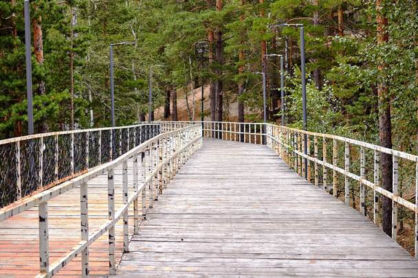 caminhadas e ciclovias na floresta com cobertura de madeira e grades de ferro - Foto, Imagem