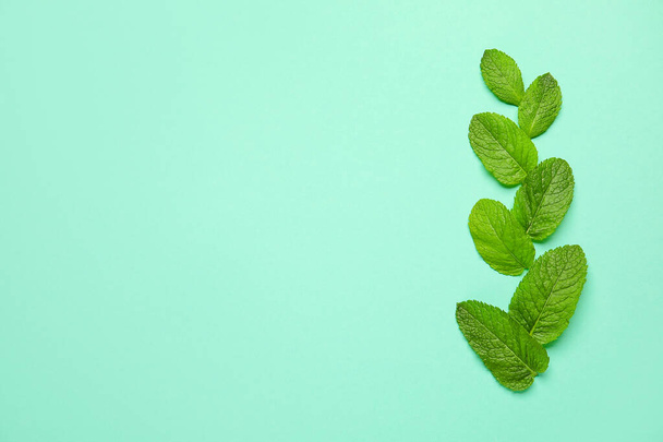 Organic mint leaves on color background - Photo, Image