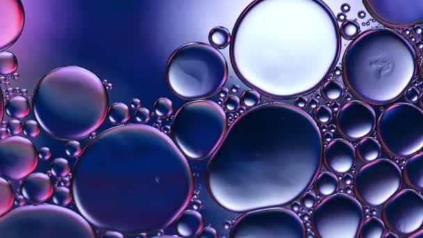 Abstracto colorido aceite de comida gotas burbujas y esferas que fluyen en la superficie del agua, macro Videografía - Metraje, vídeo