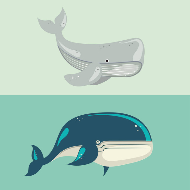 whale sea wildlife - Вектор, зображення