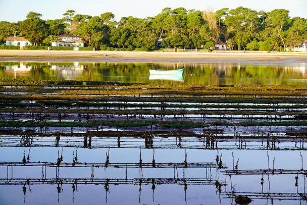 fazenda de ostras instalada no canal do lago hossegor - Foto, Imagem