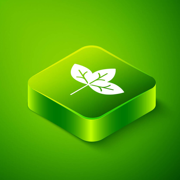 Ισομετρική εικόνα Leaf απομονωμένη σε πράσινο φόντο. Αφήνει σημάδι. Φρέσκο φυσικό σύμβολο προϊόν. Πράσινο τετράγωνο κουμπί. Διάνυσμα - Διάνυσμα, εικόνα