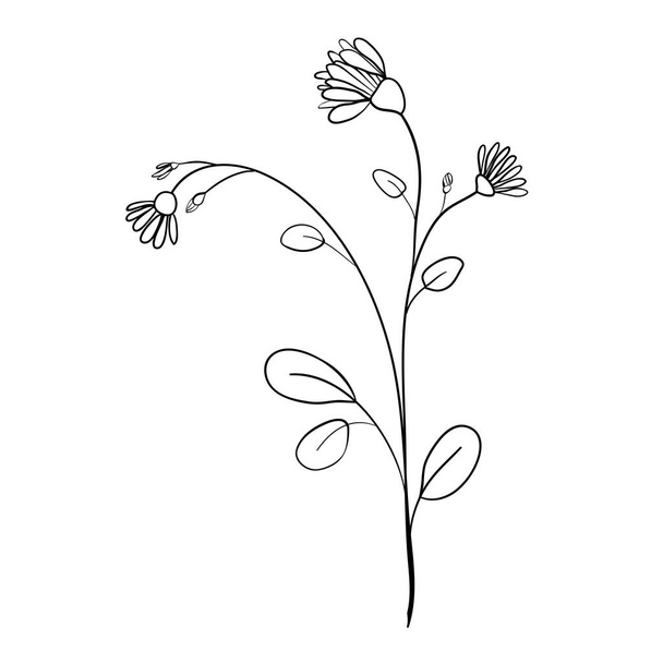 Elementos florales hechos a mano y flores. Ilustración de garabatos vectoriales - Vector, imagen