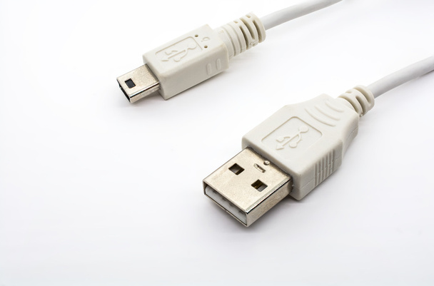 Mini-USB-Stecker und geben Sie einen USB-Stecker - Foto, Bild