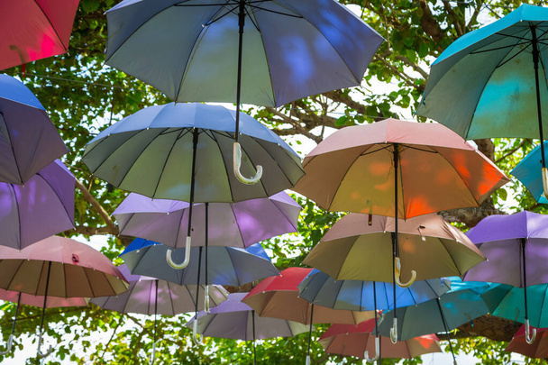 Πολύχρωμη διακόσμηση ομπρέλες κρέμονται στο δέντρο με φόντο τον ουρανό - Φωτογραφία, εικόνα