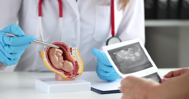 Ginecólogo muestra modelo de feto de paciente con ultrasonido de útero primer plano - Imágenes, Vídeo