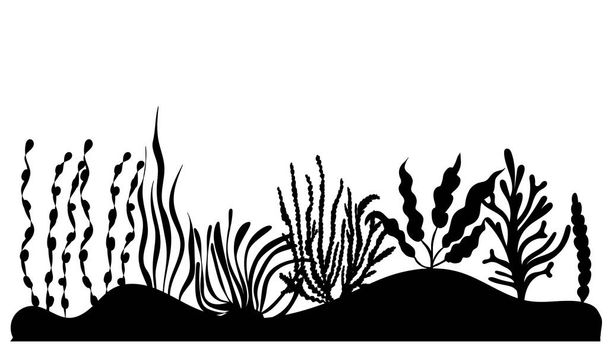 silhouette di alghe marine, su sfondo bianco, vettore - Vettoriali, immagini