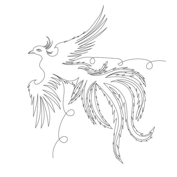 phoenix bird one line drawing ,vector, isolated - Vetor, Imagem