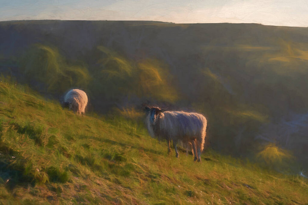 Digitaalinen maalaus lampaiden laiduntaminen Parkhouse Hill, ja Chrome Hill auringonnousun aikaan, Peak District National Park, Derbyshire. - Valokuva, kuva