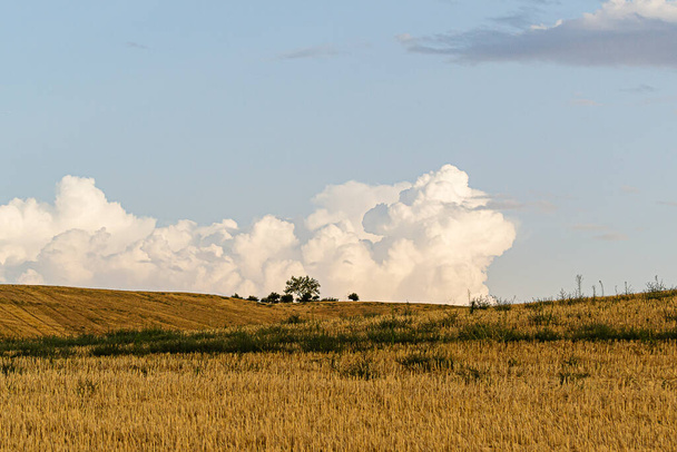 Panoramiczny widok pól obsadzonych w Kastylii, uchwycony 26 sierpnia 2018 roku. Z błękitnym niebem i puszystymi białymi chmurami - Zdjęcie, obraz