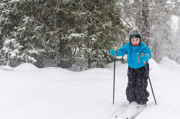Jeune skieur de fond en forêt - Photo, image
