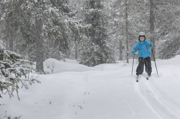 Jeune skieur de fond en forêt - Photo, image