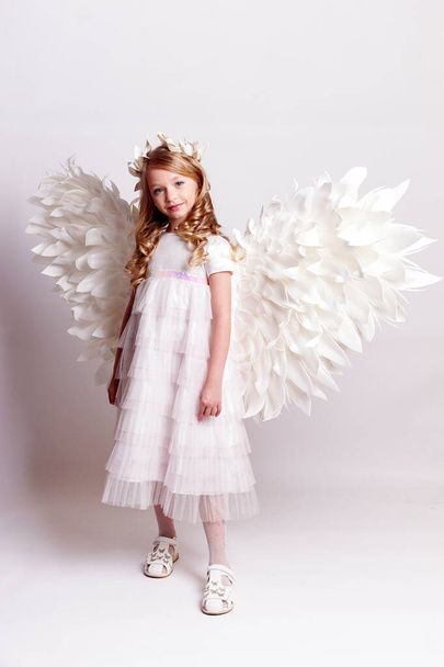 Mooie jonge dame met engel vleugels.Isolated studio shot - Foto, afbeelding