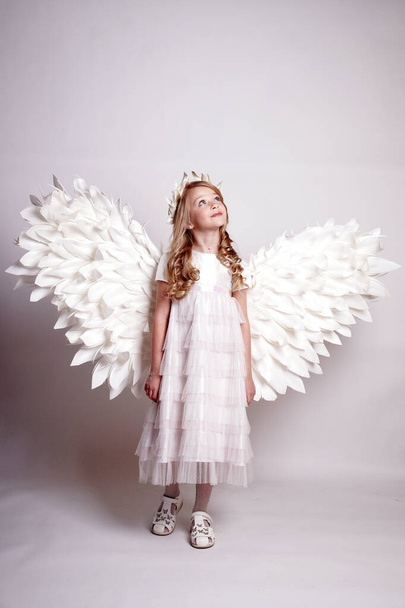 Pretty young lady with angel wings.Isolated studio shot - Foto, afbeelding