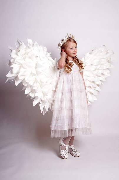 Pretty young lady with angel wings.Isolated studio shot - Foto, Imagen