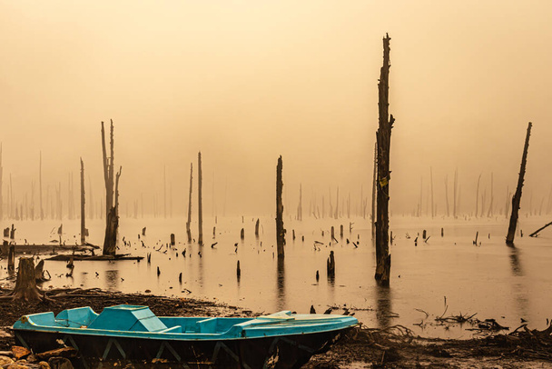 lago brumoso con muchos troncos de árboles secos en la mañana de la imagen de ángulo plano se toma en el lago madhuri tawang arunachal pradesh. - Foto, Imagen
