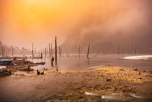 Озеро, покрытое туманом и сухими стволами деревьев по утрам с плоского угла изображения принято на озере Мадури Таванг аруначал Прадеш. - Фото, изображение