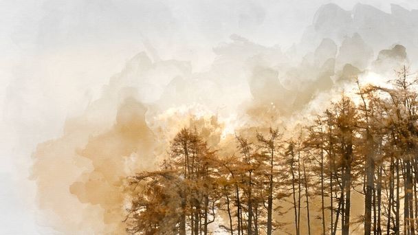 Digitaalinen akvarelli maalaus Upea syksy Fall maisema pitkin laaksoa kohti Mellbreak ja Grasmoor järvialueella kaunis eeppinen valaistus myöhään iltapäivällä - Valokuva, kuva