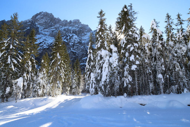 Зимовий пейзаж у Валь - Сайзері (Італія). - Фото, зображення