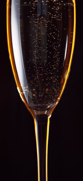 Champagne - Фото, зображення
