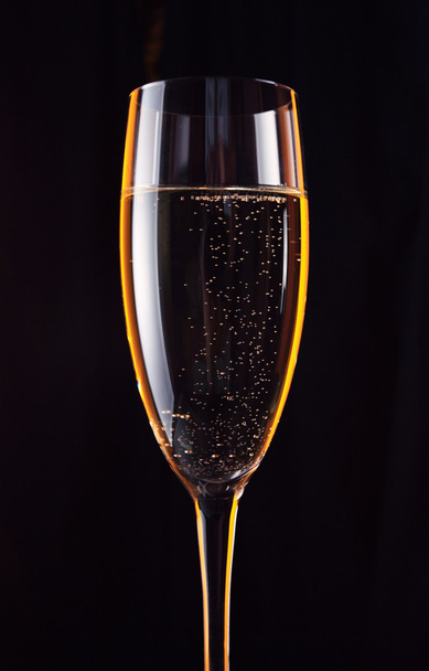 Champagne - Fotó, kép