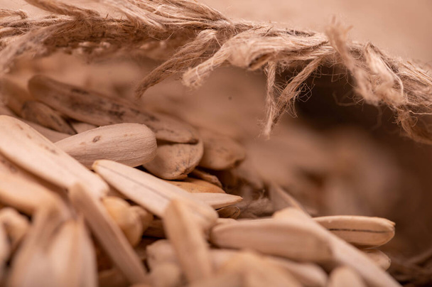 Beyaz ayçiçeği tohumları kaba bir çuval bezinin arka planına saçılmış, yakın çekim seçici odak - Fotoğraf, Görsel