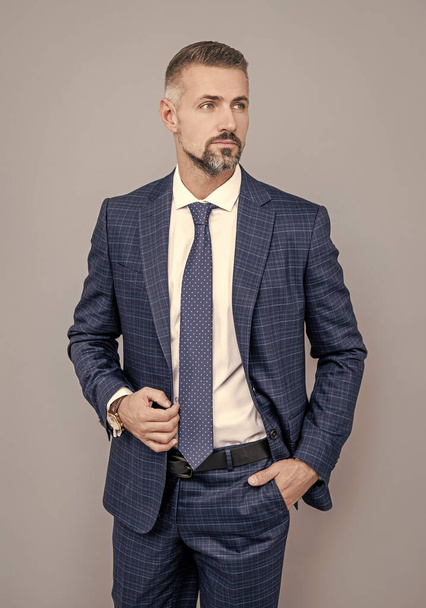 Mature businessman wear business suit in formal fashion style grey background, formalwear - Fotoğraf, Görsel