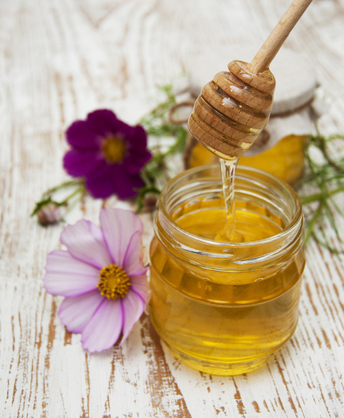 Honey with flowers - Photo, image