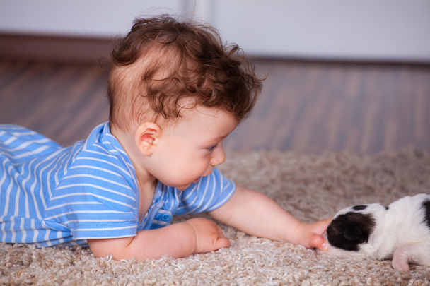 Baby boy playing with puppy - Foto, Imagen