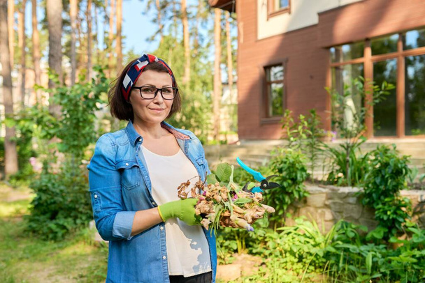 Outdoor portrait of a mature woman in a backyard garden tending flowerbeds. - Photo, image