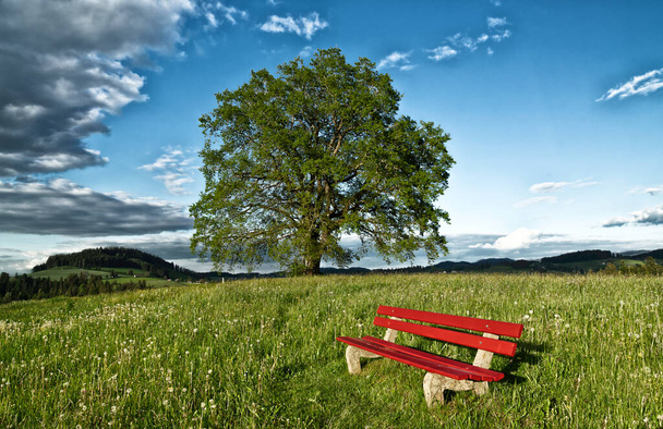ήσυχο σημείο με κόκκινο πάγκο καθισμάτων στο πράσινο λιβάδι άνοιξη με ένα τεράστιο δέντρο στο παρασκήνιο, Allgaeu, Βαυαρία, Γερμανία - Φωτογραφία, εικόνα