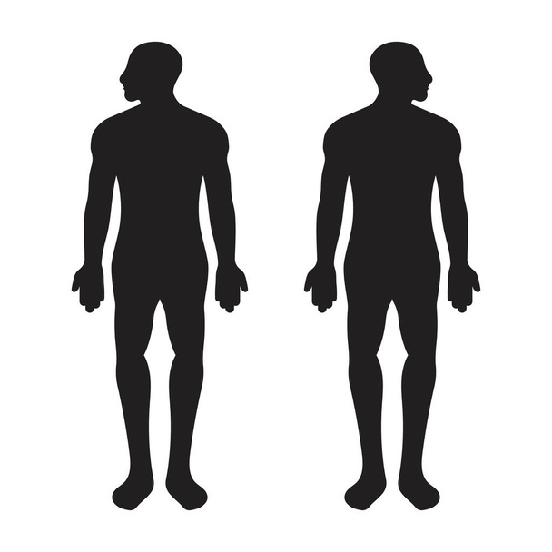 Adult male or men human body flat vector icon for app or website - ベクター画像