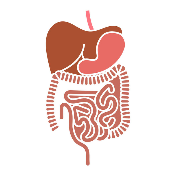órganos del sistema digestivo humano icono de color vector plano para aplicaciones y sitios web - Vector, Imagen